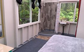 Simply Convenient Tropical Country Studio